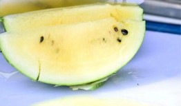 热点吃瓜,吃瓜群众如何解读明星事件